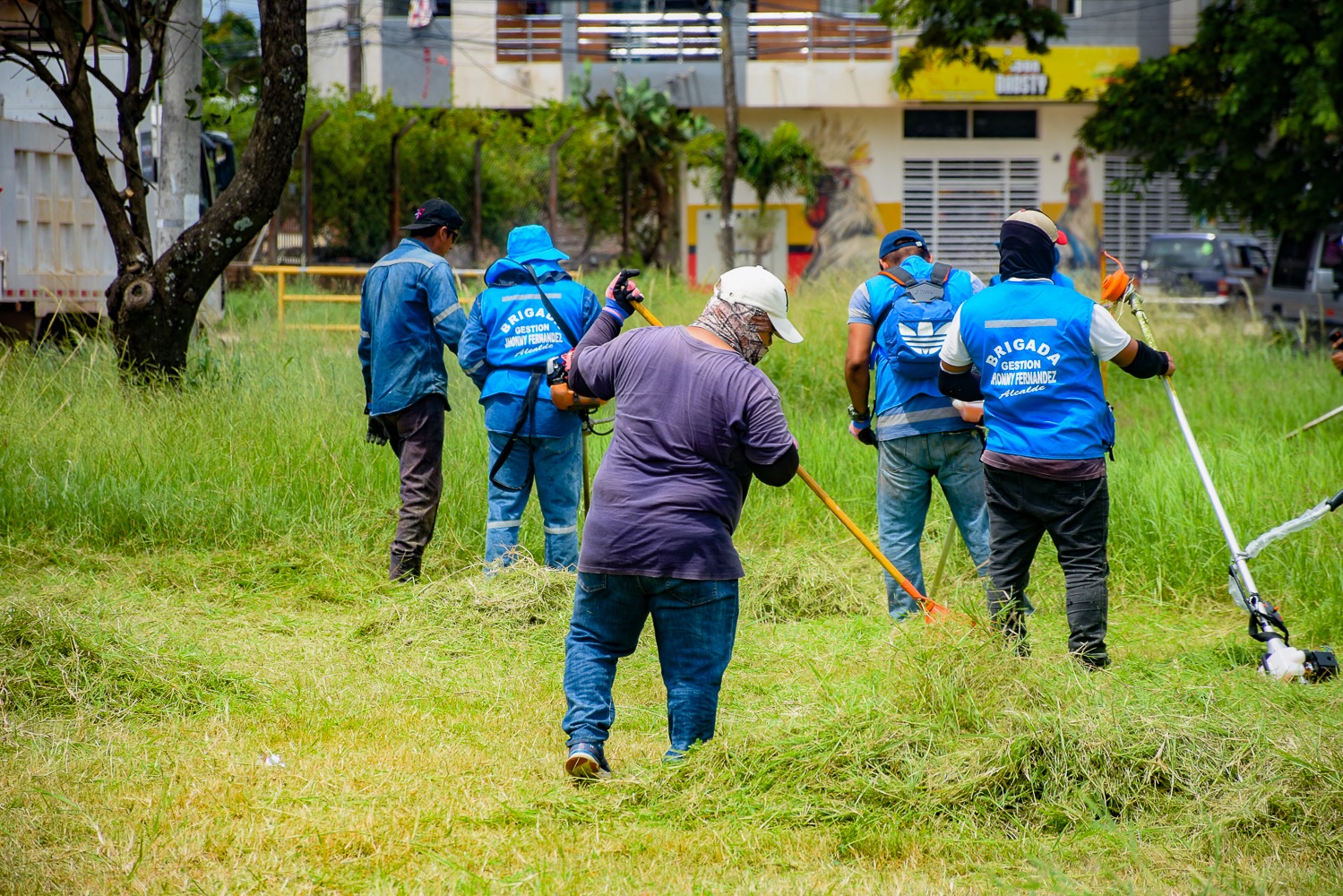 Municipio intensifica la lucha contra el dengue y la chikungunya con el despliegue de cerca de 1.000 funcionarios
